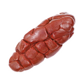 Beef Kidney