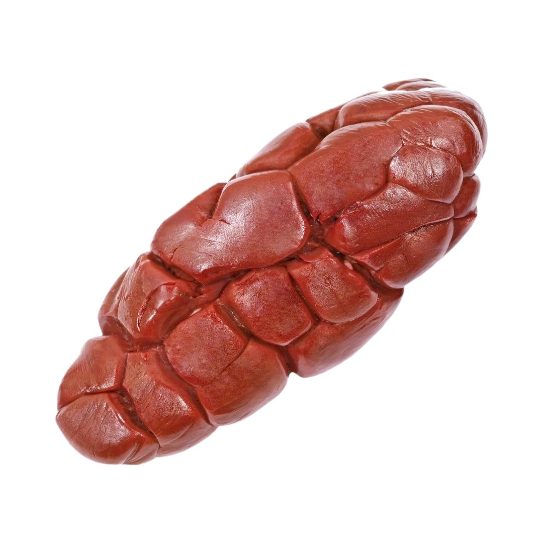 Beef Kidney
