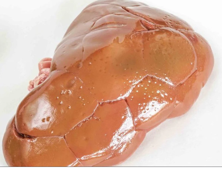 Bison Kidney - AVAILABLE NOW!