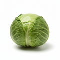 Green Cabbage- AVAILABLE AFTER 5 PM JULY 30TH!