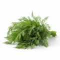 Fresh Dill weed - PRE-ORDER REQUIRED!!
