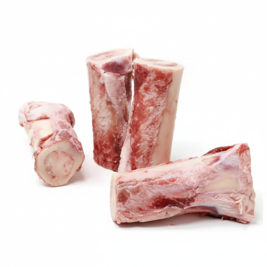 beef marrow bones on a white backgound