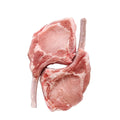 Raw pork shoulder on a white background