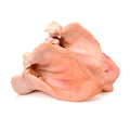Raw pork organs on a white background