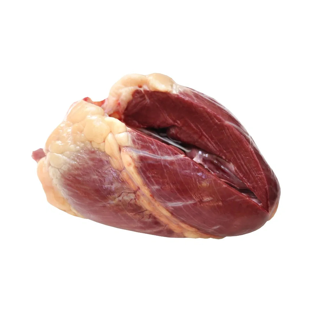 Bison heart on a white background