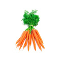 Carrots