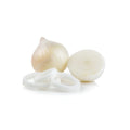 White or Purple Spanish Onions