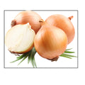 Cooking Onions/Yellow Onions