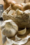 10 lbs Garlic - PRE-ORDERING IS REQUIRED!
