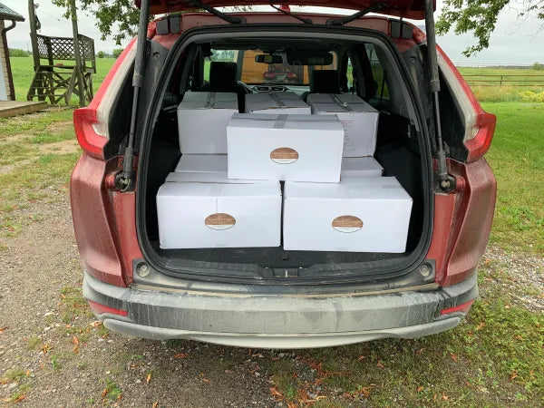Trunk of a red car filled with white boxes on a grassy outdoor area.