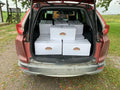 Trunk of a red car filled with white boxes on a grassy outdoor area.